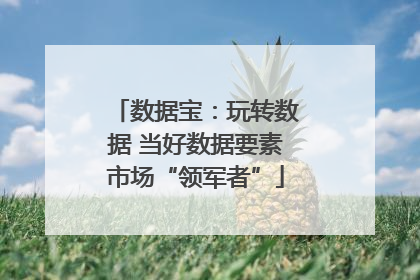 数据宝：玩转数据 当好数据要素市场“领军者”