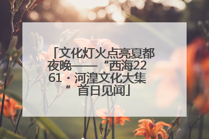 文化灯火点亮夏都夜晚——“西海2261・河湟文化大集”首日见闻
