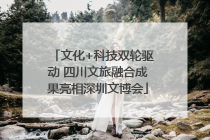 文化+科技双轮驱动 四川文旅融合成果亮相深圳文博会