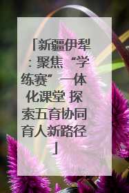 新疆伊犁：聚焦“学练赛”一体化课堂 探索五育协同育人新路径
