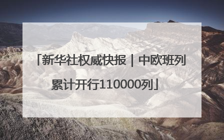 新华社权威快报｜中欧班列累计开行110000列