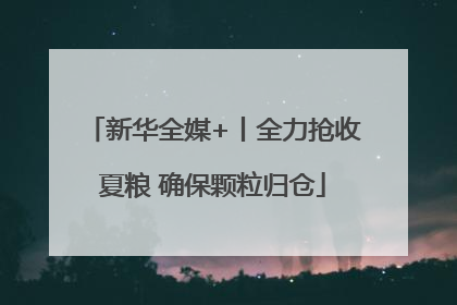 新华全媒+丨全力抢收夏粮 确保颗粒归仓