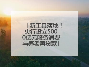 新工具落地！央行设立5000亿元服务消费与养老再贷款