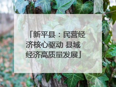 新平县：民营经济核心驱动 县域经济高质量发展