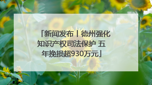 新闻发布丨德州强化知识产权司法保护 五年挽损超930万元
