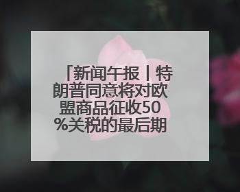 新闻午报丨特朗普同意将对欧盟商品征收50%关税的最后期限延至7月9日；00后舞蹈老师“花式”推介家乡岳阳>>