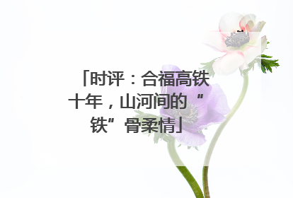时评：合福高铁十年，山河间的“铁”骨柔情