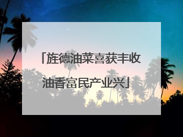 旌德油菜喜获丰收 油香富民产业兴