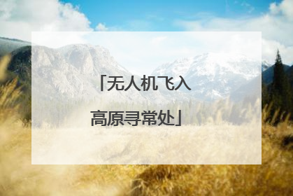 无人机飞入高原寻常处