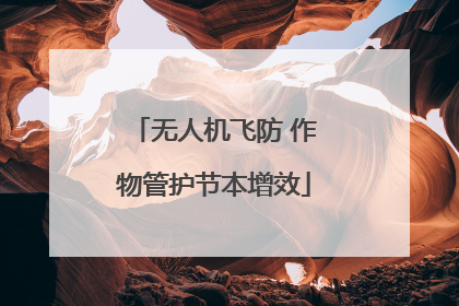 无人机飞防 作物管护节本增效
