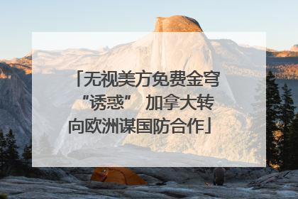 无视美方免费金穹“诱惑” 加拿大转向欧洲谋国防合作