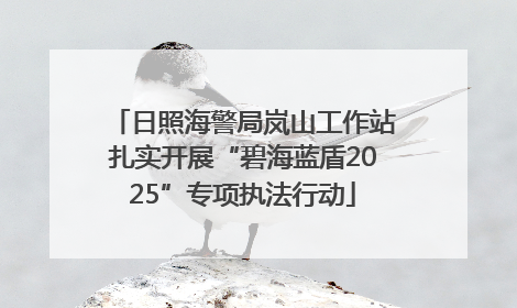 日照海警局岚山工作站扎实开展“碧海蓝盾2025”专项执法行动