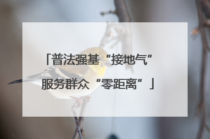 普法强基“接地气” 服务群众“零距离”
