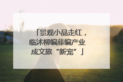 景观小品走红，临沭柳编藤编产业成文旅“新宠”