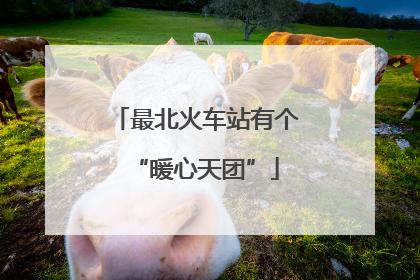 最北火车站有个“暖心天团”