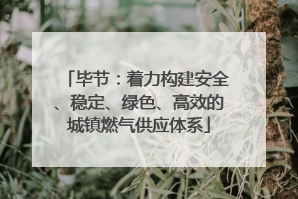 毕节：着力构建安全、稳定、绿色、高效的城镇燃气供应体系