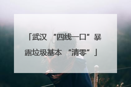 武汉 “四线一口”暴露垃圾基本 “清零”