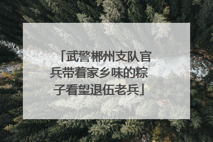 武警郴州支队官兵带着家乡味的粽子看望退伍老兵
