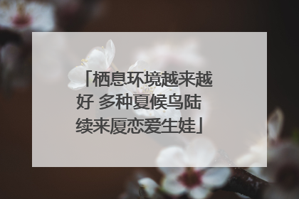 栖息环境越来越好 多种夏候鸟陆续来厦恋爱生娃