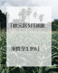 欧元区5月通胀率降至1.9%