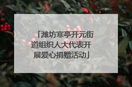 潍坊寒亭开元街道组织人大代表开展爱心捐赠活动