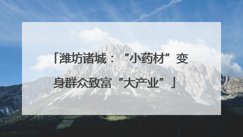潍坊诸城：“小药材”变身群众致富“大产业”