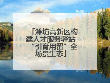 潍坊高新区构建人才服务驿站“引育用留”全场景生态
