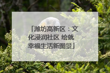 潍坊高新区：文化浸润社区 绘就幸福生活新图景