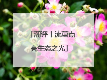 潮评丨流萤点亮生态之光