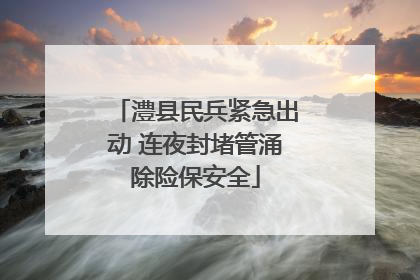 澧县民兵紧急出动 连夜封堵管涌除险保安全