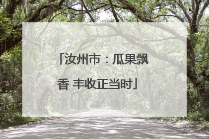 汝州市：瓜果飘香 丰收正当时