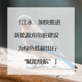 江永：加快推进新能源充电桩建设 为绿色低碳出行“赋能续航”