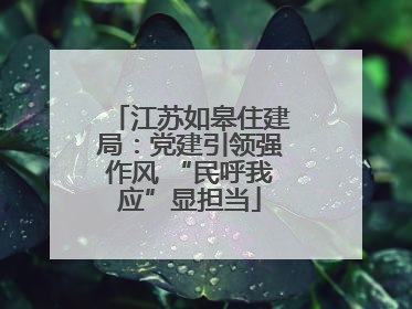 江苏如皋住建局：党建引领强作风 “民呼我应”显担当