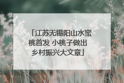 江苏无锡阳山水蜜桃首发 小桃子做出乡村振兴大文章