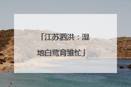 江苏泗洪：湿地白鹭育雏忙