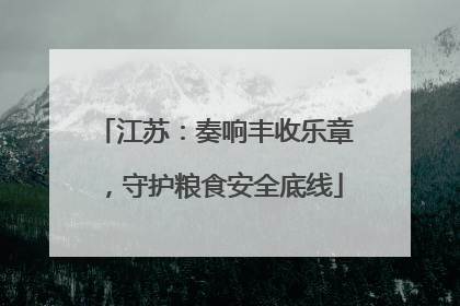 江苏：奏响丰收乐章，守护粮食安全底线