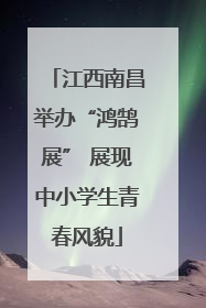 江西南昌举办“鸿鹄展” 展现中小学生青春风貌
