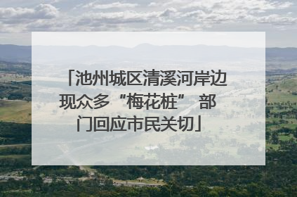 池州城区清溪河岸边现众多“梅花桩” 部门回应市民关切