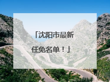 沈阳市最新任免名单！