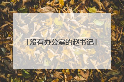 没有办公室的赵书记