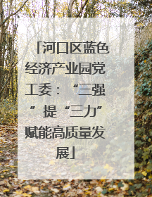 河口区蓝色经济产业园党工委：“三强”提“三力”赋能高质量发展