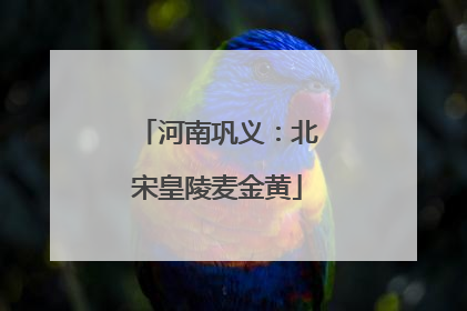 河南巩义：北宋皇陵麦金黄