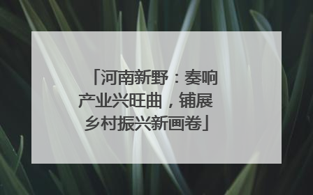 河南新野：奏响产业兴旺曲，铺展乡村振兴新画卷