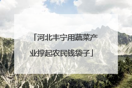 河北丰宁用蔬菜产业撑起农民钱袋子