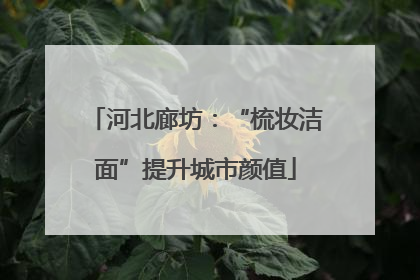河北廊坊：“梳妆洁面”提升城市颜值