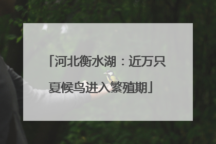 河北衡水湖：近万只夏候鸟进入繁殖期