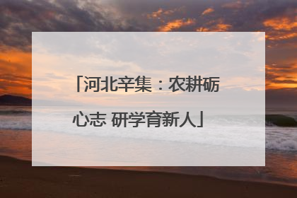河北辛集：农耕砺心志 研学育新人