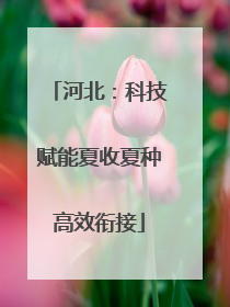 河北：科技赋能夏收夏种高效衔接