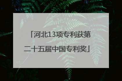 河北13项专利获第二十五届中国专利奖