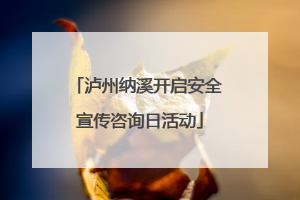 泸州纳溪开启安全宣传咨询日活动